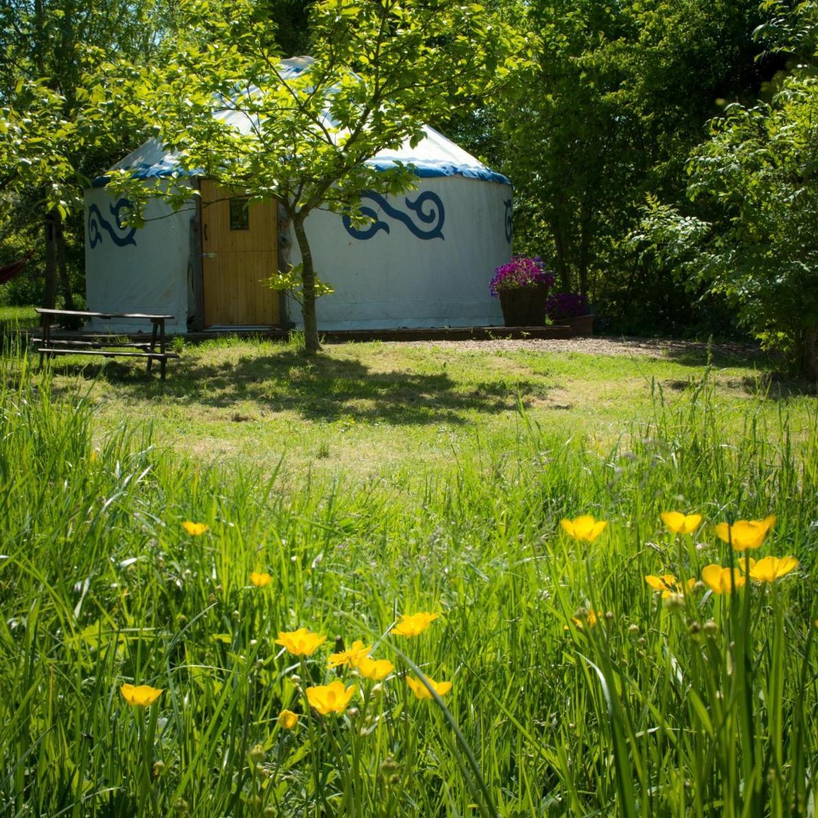 Plush Tents Yurt Village Chichester Kültér fotó